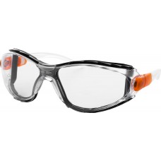 Riot Shield Safety Glasses and Goggles, Clear Anti-Fog
